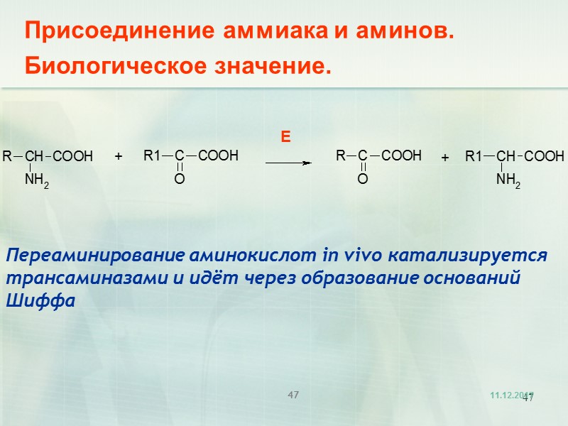 47 Присоединение аммиака и аминов. Биологическое значение.  Переаминирование аминокислот in vivo катализируется трансаминазами